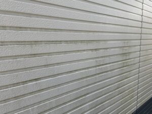 凹凸のある外壁に生えるコケ